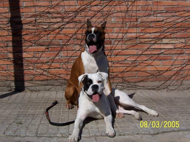 FB_IMG_1587930132020